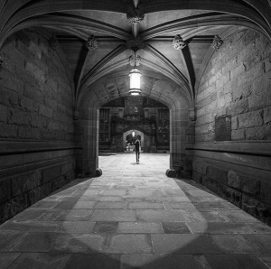 princeton-university_ffolkes