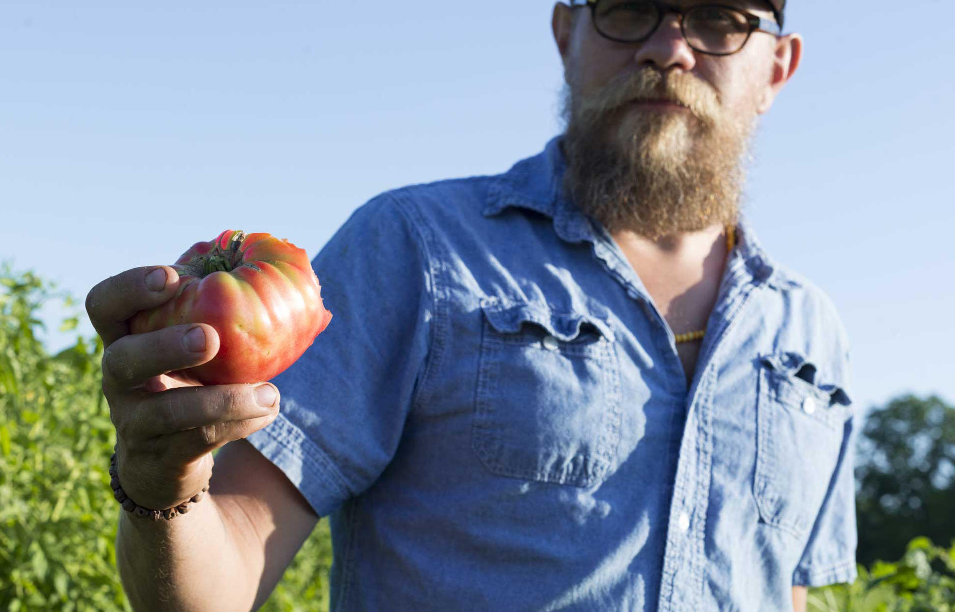 The Tomato Whisperer